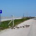 We show you how concrete is flooding the country