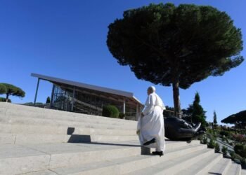 Pope: Building the ‘civilisation of love’ requires courage and humble leadership