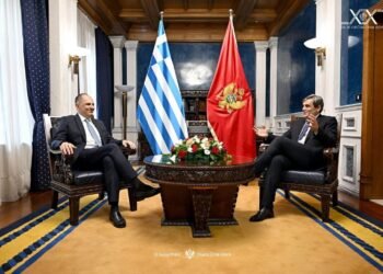 Ibrahimović: Montenegro’s membership will be proof of the success of the EU enlargement policy