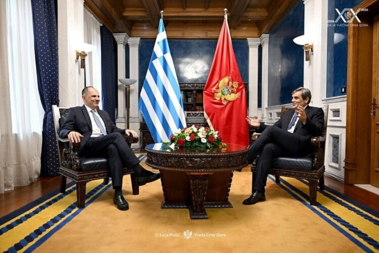 Ibrahimović: Montenegro’s membership will be proof of the success of the EU enlargement policy