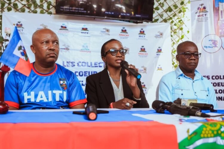 The MICT takes stock of the distribution of audiovisual kits distributed on the sidelines of the World Cup