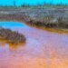 In Odesa, estuaries have become amber: photo