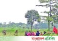 https://www.bd-pratidin.com/last-page/2026/06/21/1264770