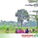 https://www.bd-pratidin.com/last-page/2026/06/21/1264770