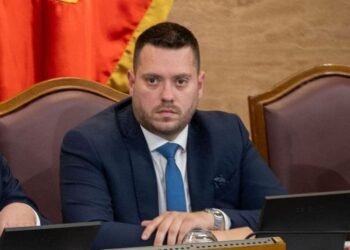 Stanišić: Today, Montenegro is almost ready to receive, in the near future, part of the European family of nations