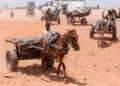 Sudan and the emergency that the world neglects