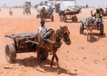 Sudan and the emergency that the world neglects