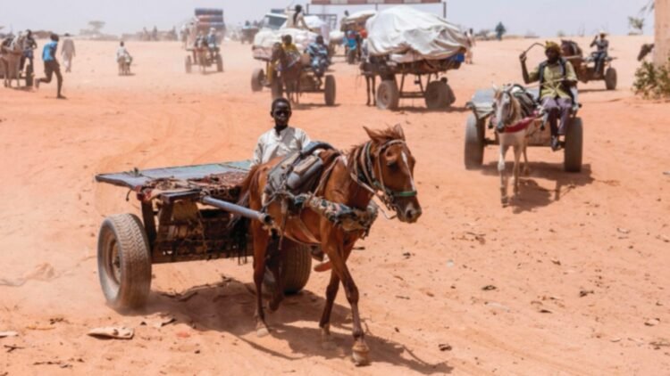Sudan and the emergency that the world neglects