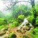 As Khareef begins today, Dhofar gears up for visitors
