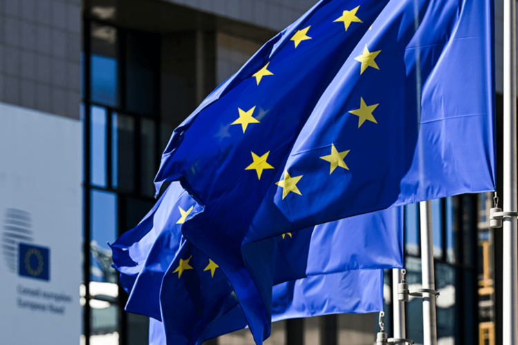 According to the EU, the most favorable in Albania, and in our country and in Kosovo, in Serbia, less than a third support membership