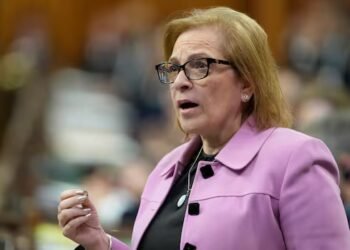Immigration minister says ‘something’ happened to trigger order to surrender citizenship docs