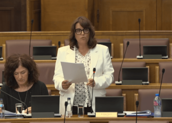 Vujović: I don’t see anything objectionable in the fact that the historical flag is flying with the national one at the house of Gavr Vuković