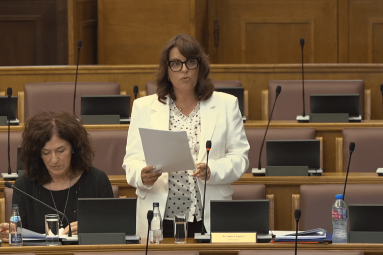 Vujović: I don’t see anything objectionable in the fact that the historical flag is flying with the national one at the house of Gavr Vuković