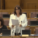 Vujović: I don’t see anything objectionable in the fact that the historical flag is flying with the national one at the house of Gavr Vuković