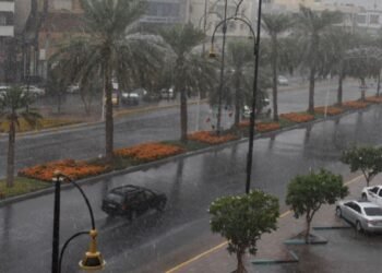 Meteorology: Cumulus clouds and possible rain from Tuesday until next Thursday