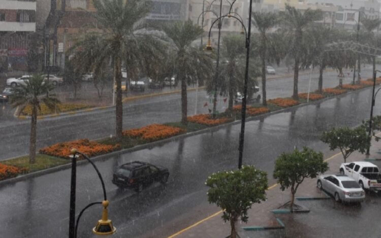 Meteorology: Cumulus clouds and possible rain from Tuesday until next Thursday
