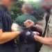 This was the arrest of the Budapest cannibal who collected human body parts in his apartment