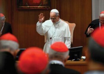 The program of the extraordinary consistory of Pope Leo XIV with the College of Cardinals has been released by the Holy See Press Office