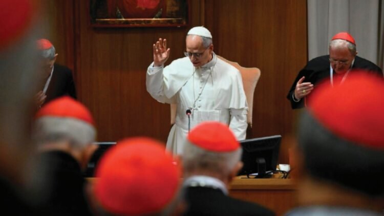 The program of the extraordinary consistory of Pope Leo XIV with the College of Cardinals has been released by the Holy See Press Office