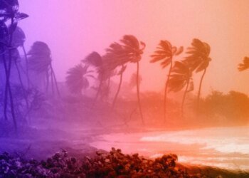 Hurricanes – A force of nature | News