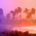 Hurricanes – A force of nature | News