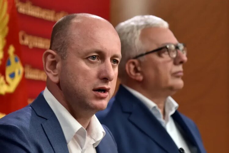 Knežević and Mandić: Different tactics, same strategic goal