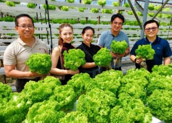 Agriculture can still be Sabah’s economic engine