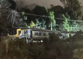 ‘Shook the house’: Eight injured in Wellington train derailment