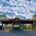 Land is auctioned in the “El Mencho” hideout; property in the Country Club of Tapalpa has a value greater than 12 million pesos
