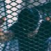 Recover minor victims of trafficking to the culture of life
