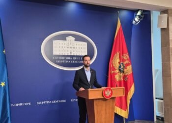 Zirojević: The session of the Security Committee was not held for the third time, it is a deliberate obstruction