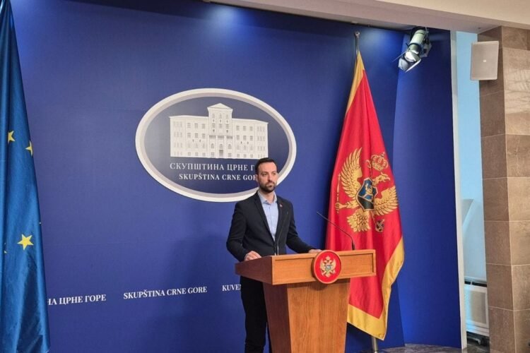 Zirojević: The session of the Security Committee was not held for the third time, it is a deliberate obstruction