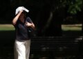 Telex: Heat wave: records are being broken in Europe, warnings were issued not only because of the heat