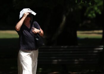 Telex: Heat wave: records are being broken in Europe, warnings were issued not only because of the heat