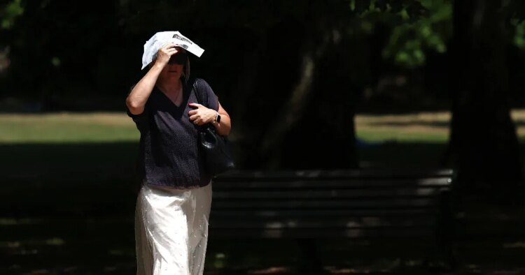 Telex: Heat wave: records are being broken in Europe, warnings were issued not only because of the heat