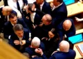 Fistfight at Georgian Parliament