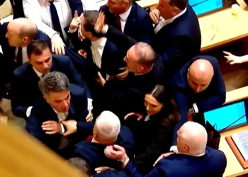 Fistfight at Georgian Parliament