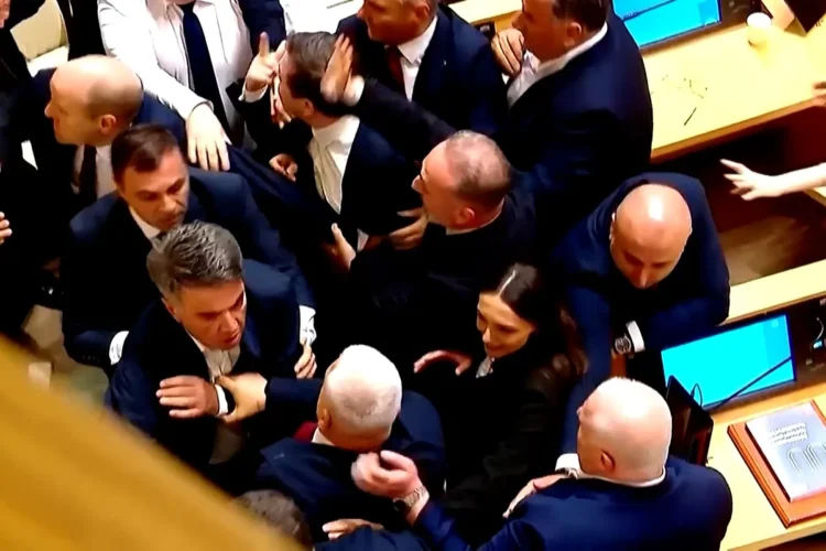 Fistfight at Georgian Parliament