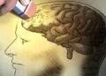 Thirty-year-olds complain of excessive forgetfulness. Is this normal?