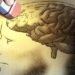 Thirty-year-olds complain of excessive forgetfulness. Is this normal?