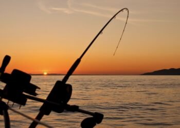 Hook, line and click: Monaco digitises shore fishing declarations – NEWS.MC