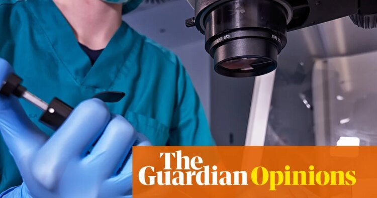 The Trump administration is calling frozen embryos children | Moira Donegan