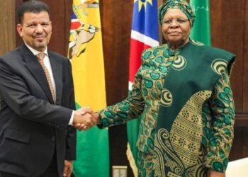 The Minister of Foreign Affairs and African Affairs is received by the President of Namibia