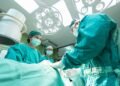 Hungarian Expert Elected Chair of Eurotransplant Advisory Committee
