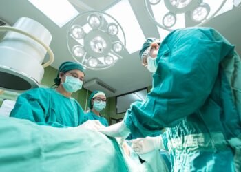Hungarian Expert Elected Chair of Eurotransplant Advisory Committee