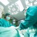 Hungarian Expert Elected Chair of Eurotransplant Advisory Committee