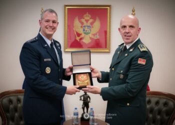 Vuksanović with Grinkevič: Professionalism and commitment represent the best confirmation of our reliability within the Alliance