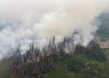 N.W.T. braces for another day of worsening wildfires