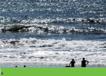 Portuguese coast is warmer, but escapes the heat wave in the North Atlantic | Climate change