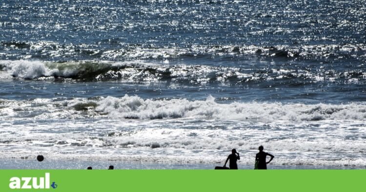 Portuguese coast is warmer, but escapes the heat wave in the North Atlantic | Climate change